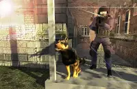 Dog Chase Simulator Screen Shot 11