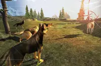 Dog Chase Simulator Screen Shot 8