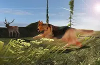 Dog Chase Simulator Screen Shot 1