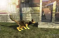 Dog Chase Simulator Screen Shot 6