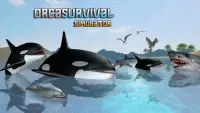 Orca Survival Simulator Screen Shot 8