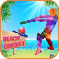 Beach Cricket 2016!