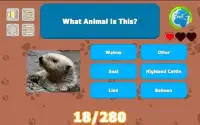 What's That Animal? Screen Shot 0