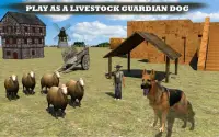 Farm Dog vs Stray Sheep Screen Shot 9