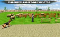 Farm Dog vs Stray Sheep Screen Shot 12