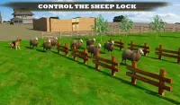 Farm Dog vs Stray Sheep Screen Shot 13