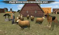 Farm Dog vs Stray Sheep Screen Shot 0