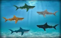 Shark Attack Simulator 3D Screen Shot 6