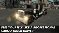 USA Cargo Truck Simulator Screen Shot 3
