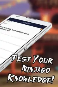Ninja Quiz Screen Shot 2