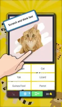 Scratch Animal Quiz. Guess Screen Shot 7