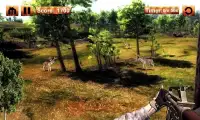 berburu rusa sniper permainan Screen Shot 2