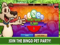 Bingo Pets Party Screen Shot 11