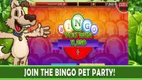 Bingo Pets Party Screen Shot 10