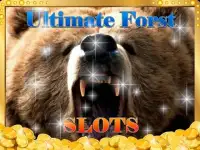 Ultimate Forest Free 777 Slots Screen Shot 7