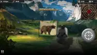 Black Bear Target Shooting Screen Shot 1