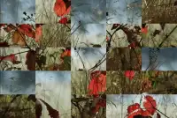 Tile Puzzles · Autumn Screen Shot 8
