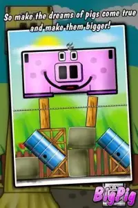 Big Pig - physics puzzle game Screen Shot 2