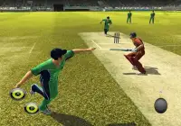 Pro Cricket Sport Tips Screen Shot 1