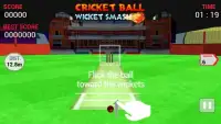 Cricket Ball Wicket Smash Screen Shot 3