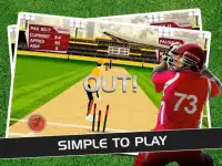 Play Cricket Matches Screen Shot 1