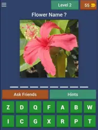 Guess Flowers Trivia Screen Shot 7