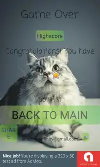 Cat Edition Math Training Game Screen Shot 0