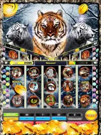 Tiger Slots – Golden Jackpot Screen Shot 0
