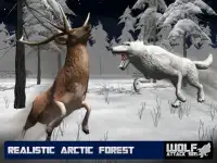 Wolf Attack Sim 3D - Wolf Game Screen Shot 3