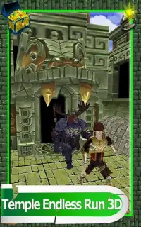 Temple Endless Run 3D Screen Shot 9