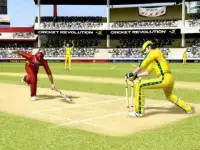 Cricket Top Games 2015 Screen Shot 4