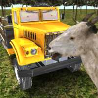 Wild life goat farm transport