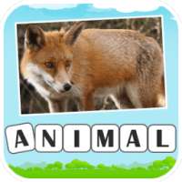 Animal Spelling Games for Kids