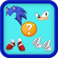 Pics Quiz for Sonic