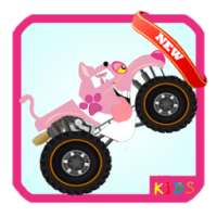 Pink Pinter Car Racing