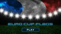 Euro Cup Flags 2016 Screen Shot 7