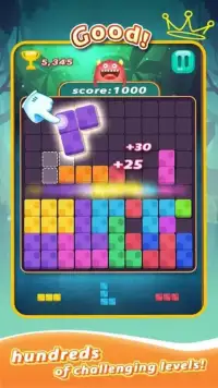 Block Puzzle Forest Game Screen Shot 1