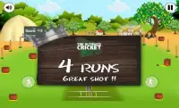 The Ultimate Cricket League Screen Shot 2
