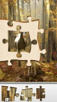 Hidden Jigsaws: Autumn Harvest Screen Shot 0