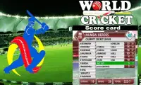 World Cricket Screen Shot 1