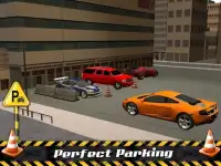 Multi Level Car Parking Screen Shot 4
