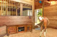 Escape Games-Locked Horse Farm Screen Shot 4