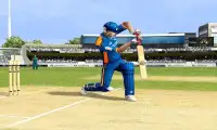Cricket War Screen Shot 1