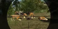 Jungle Sniper Hunter Simulator Screen Shot 0