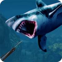 Deep Sea Shark Fishing 3D