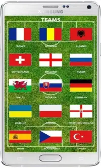 يورو 2016 التقويم الملاعب Screen Shot 1