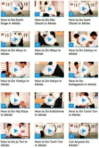 Aikido Screen Shot 0