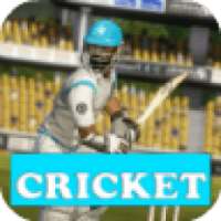 Cricket T20 Fever Game