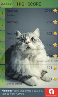 Cat Edition Math Training Game Screen Shot 2