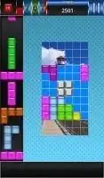 PuzTris - Puzzle Tetris Screen Shot 2